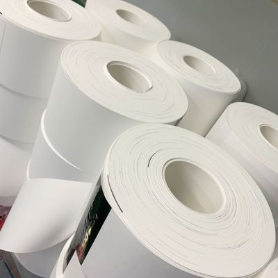 गुणवत्ता  0.1µM - 5µM Pore Size Nylon (Polyamide) Membrane Filter Circles फैक्टरी